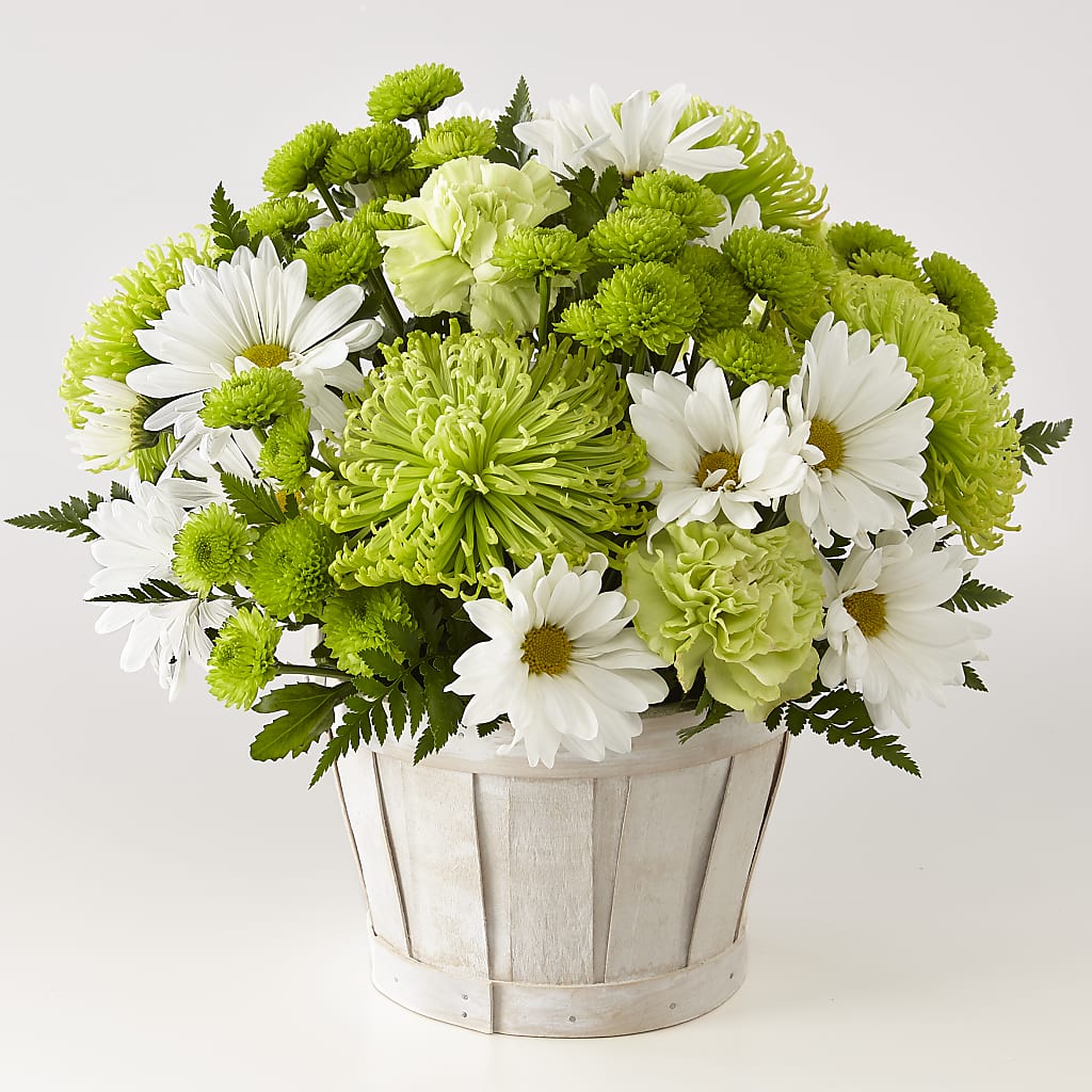 Lucky Charm Basket (Standard) – HAYLEE FLOWERS & VARIETIES, Freeport NY