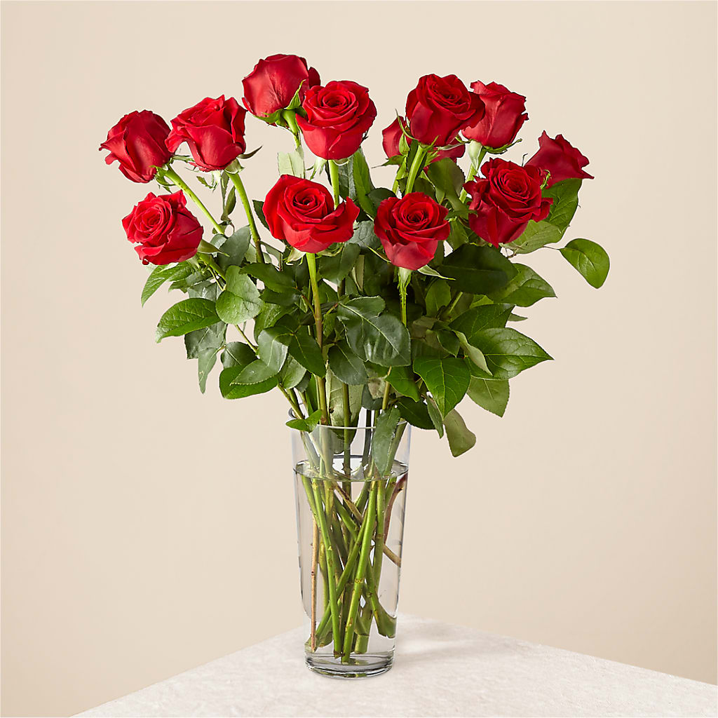 Long Stem Red Rose Bouquet – HAYLEE FLOWERS & VARIETIES, Freeport NY