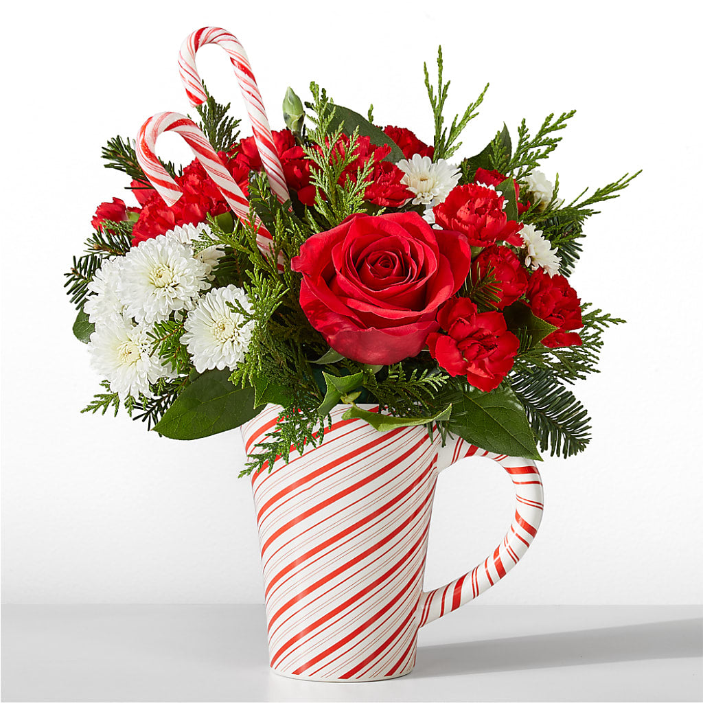 Peppermint Swirl Mug – HAYLEE FLOWERS & VARIETIES, Freeport NY