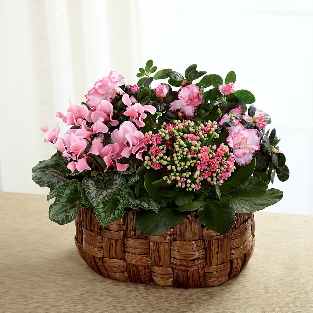 Pink Assortment – HAYLEE FLOWERS & VARIETIES, Freeport NY