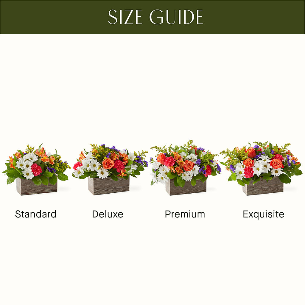 Oopsie Daisy Box Bouquet – HAYLEE FLOWERS & VARIETIES, Freeport NY