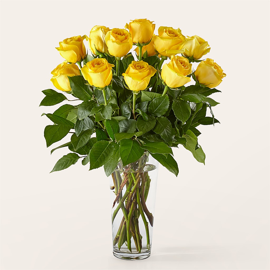 Long Stem Yellow Rose Bouquet – HAYLEE FLOWERS & VARIETIES, Freeport NY