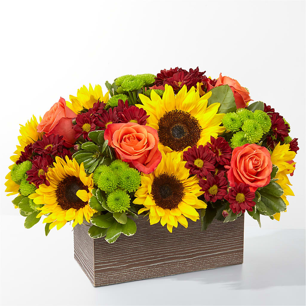 Happy Harvest Garden – HAYLEE FLOWERS & VARIETIES, Freeport NY