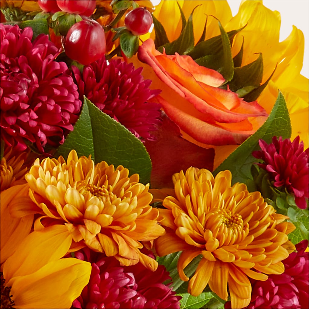 Sweater Season - A Florist Original – HAYLEE FLOWERS & VARIETIES, Freeport NY