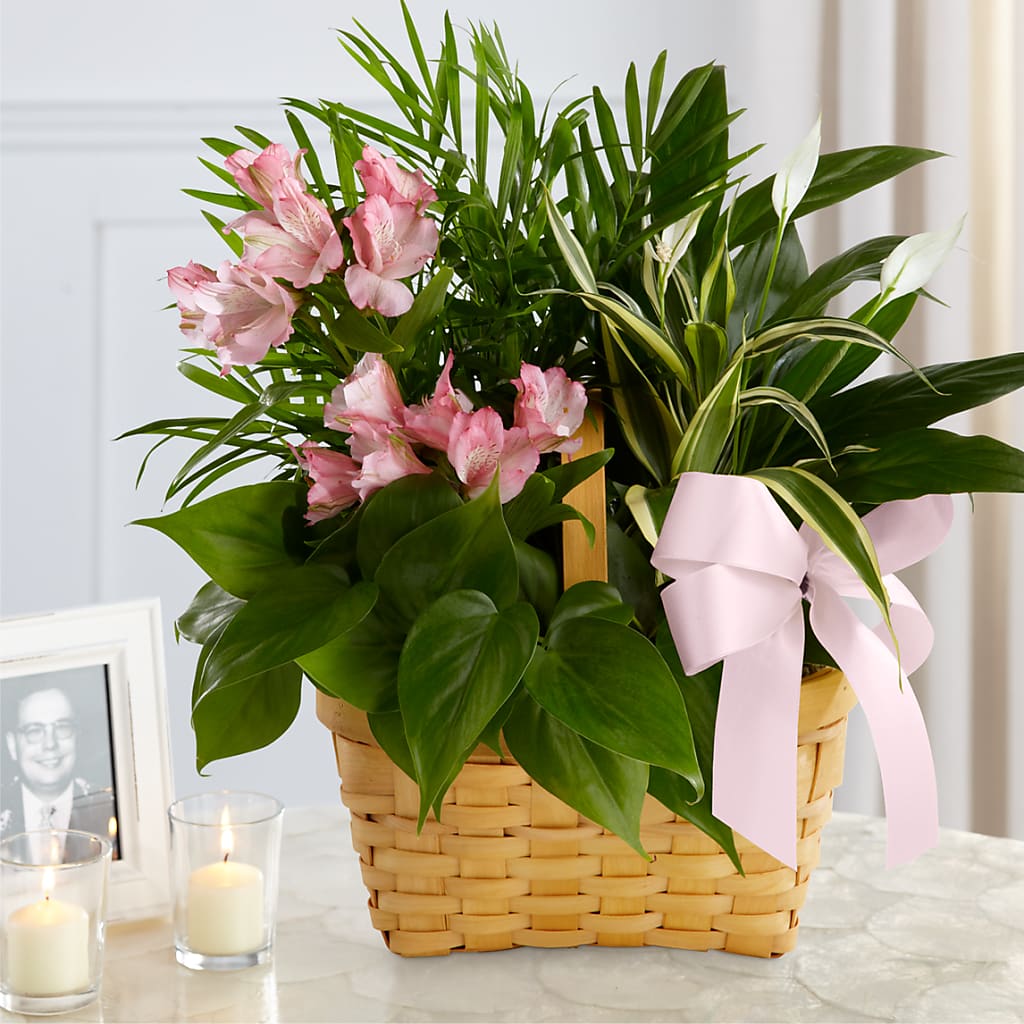 Living Spirit Dishgarden – HAYLEE FLOWERS & VARIETIES, Freeport NY