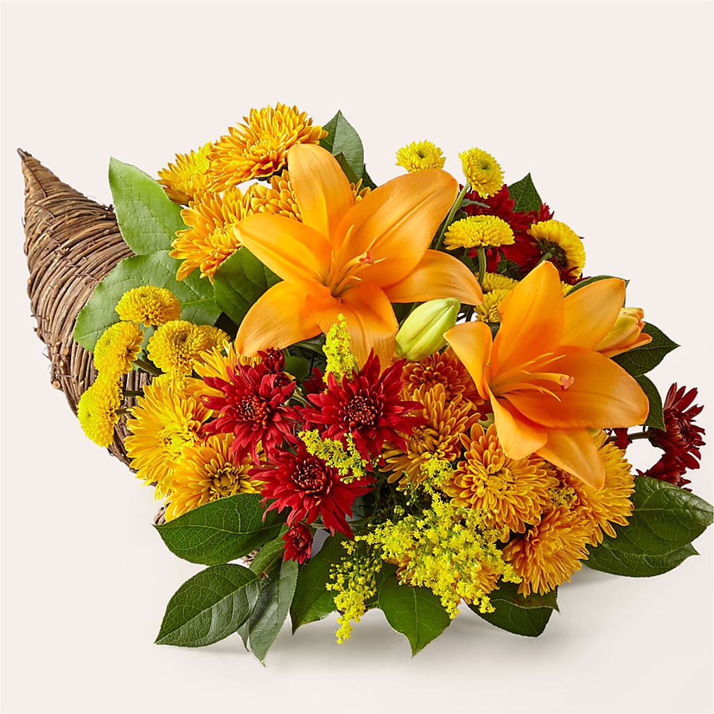 Feast of Color Cornucopia – HAYLEE FLOWERS & VARIETIES, Freeport NY