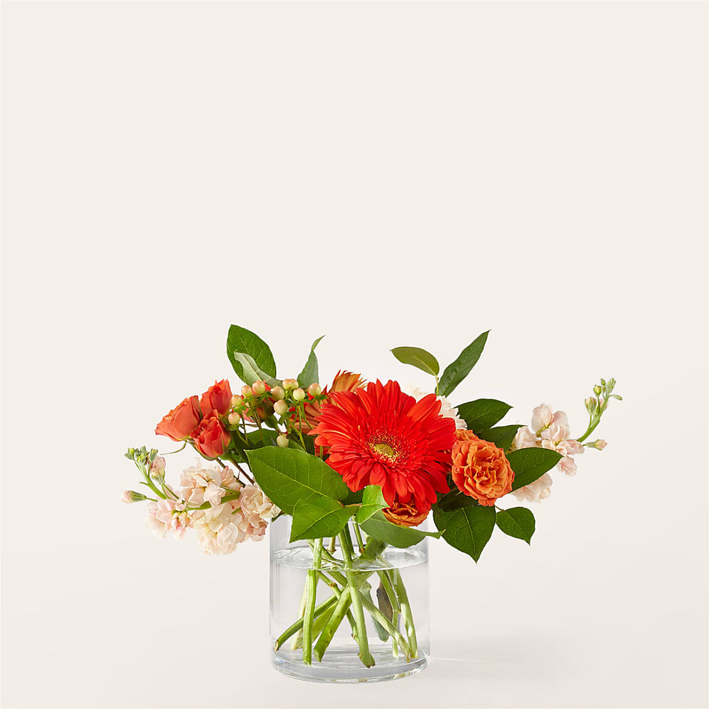 Paloma Please Bouquet – HAYLEE FLOWERS & VARIETIES, Freeport NY