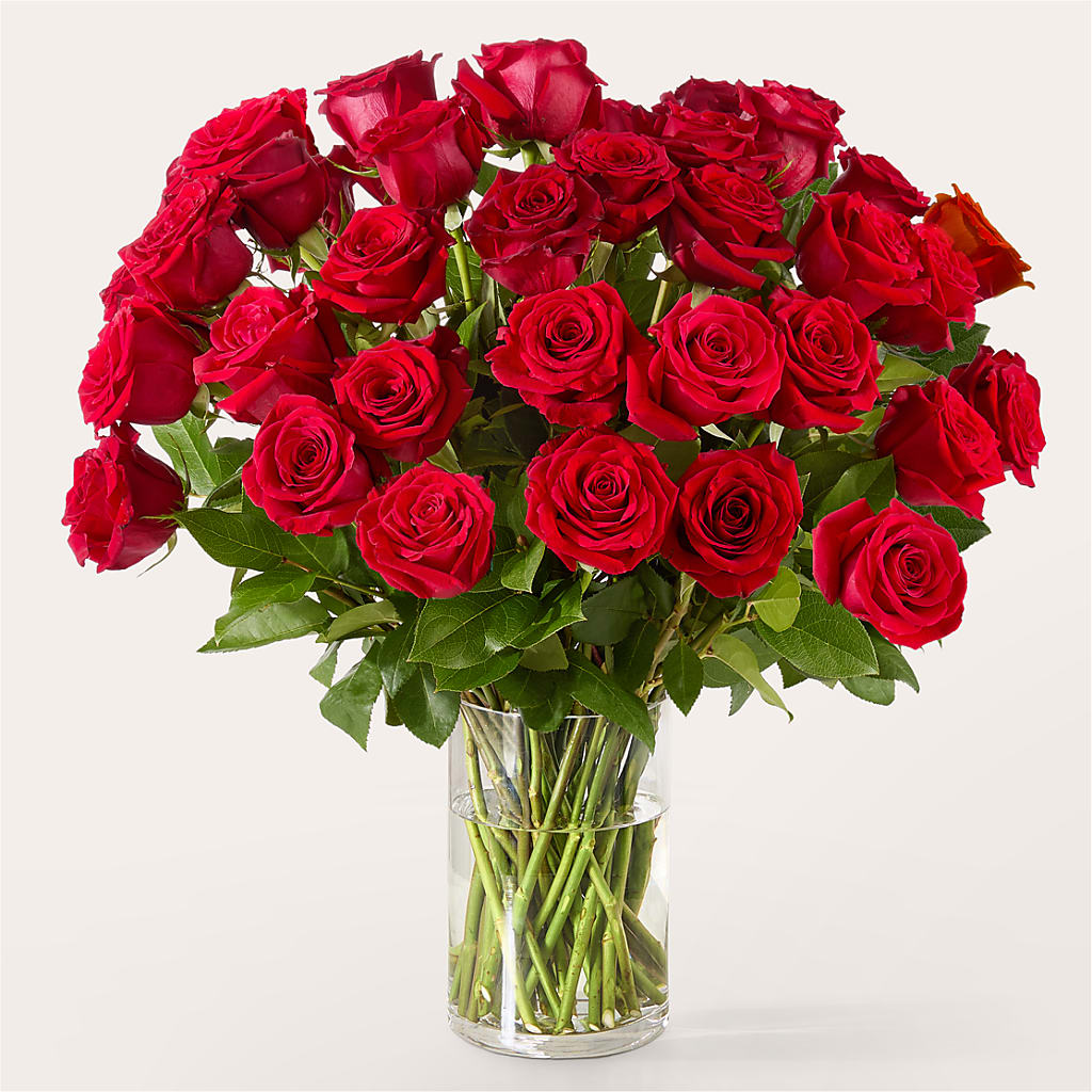 The One Red Rose Bouquet – HAYLEE FLOWERS & VARIETIES, Freeport NY