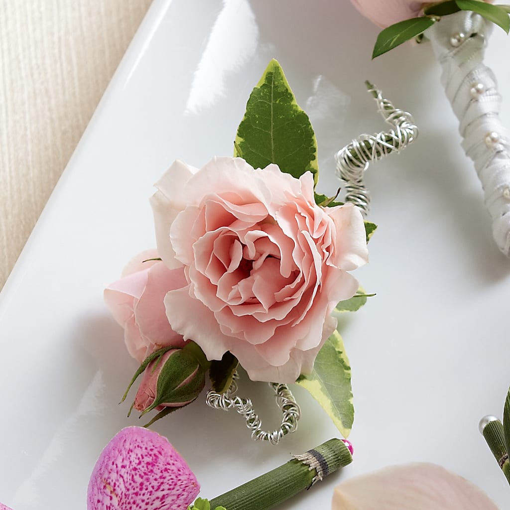 Pink Spray Rose Boutonniere – HAYLEE FLOWERS & VARIETIES, Freeport NY
