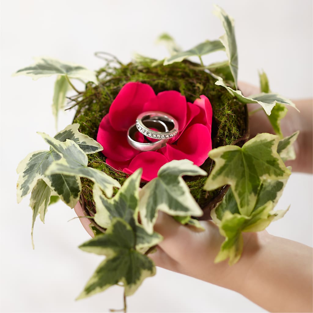 Lila Rose Ring Nest – HAYLEE FLOWERS & VARIETIES, Freeport NY