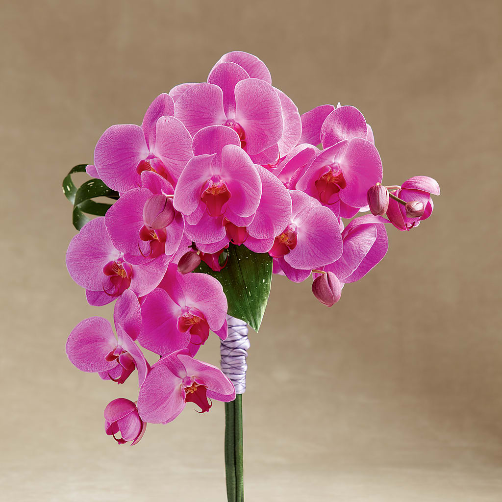 Glorious Bouquet – HAYLEE FLOWERS & VARIETIES, Freeport NY