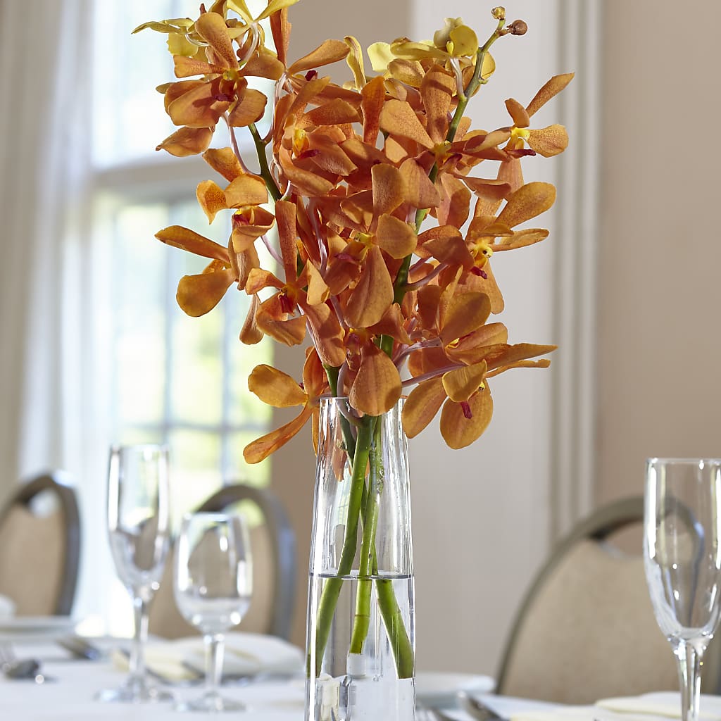Orange Mokara Bud Vase – HAYLEE FLOWERS & VARIETIES, Freeport NY