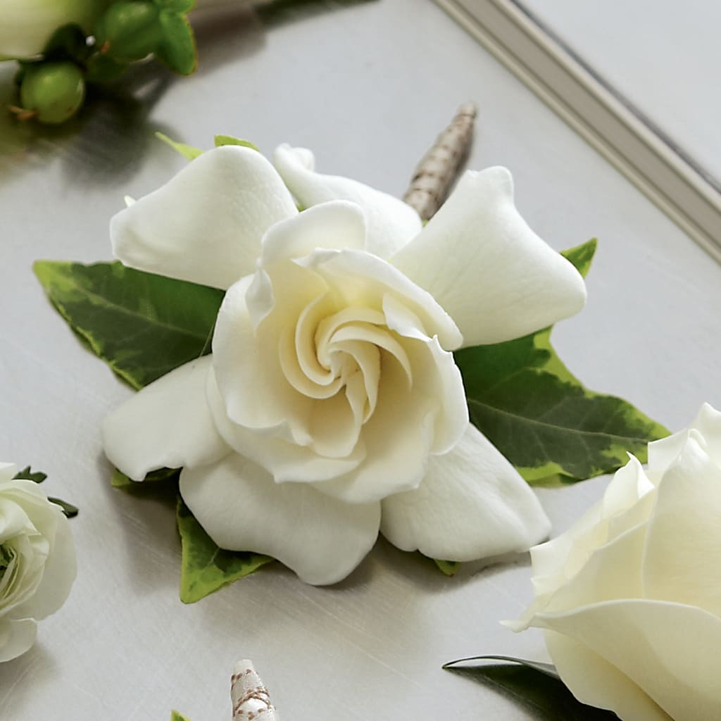 Gardenia Boutonniere – HAYLEE FLOWERS & VARIETIES, Freeport NY