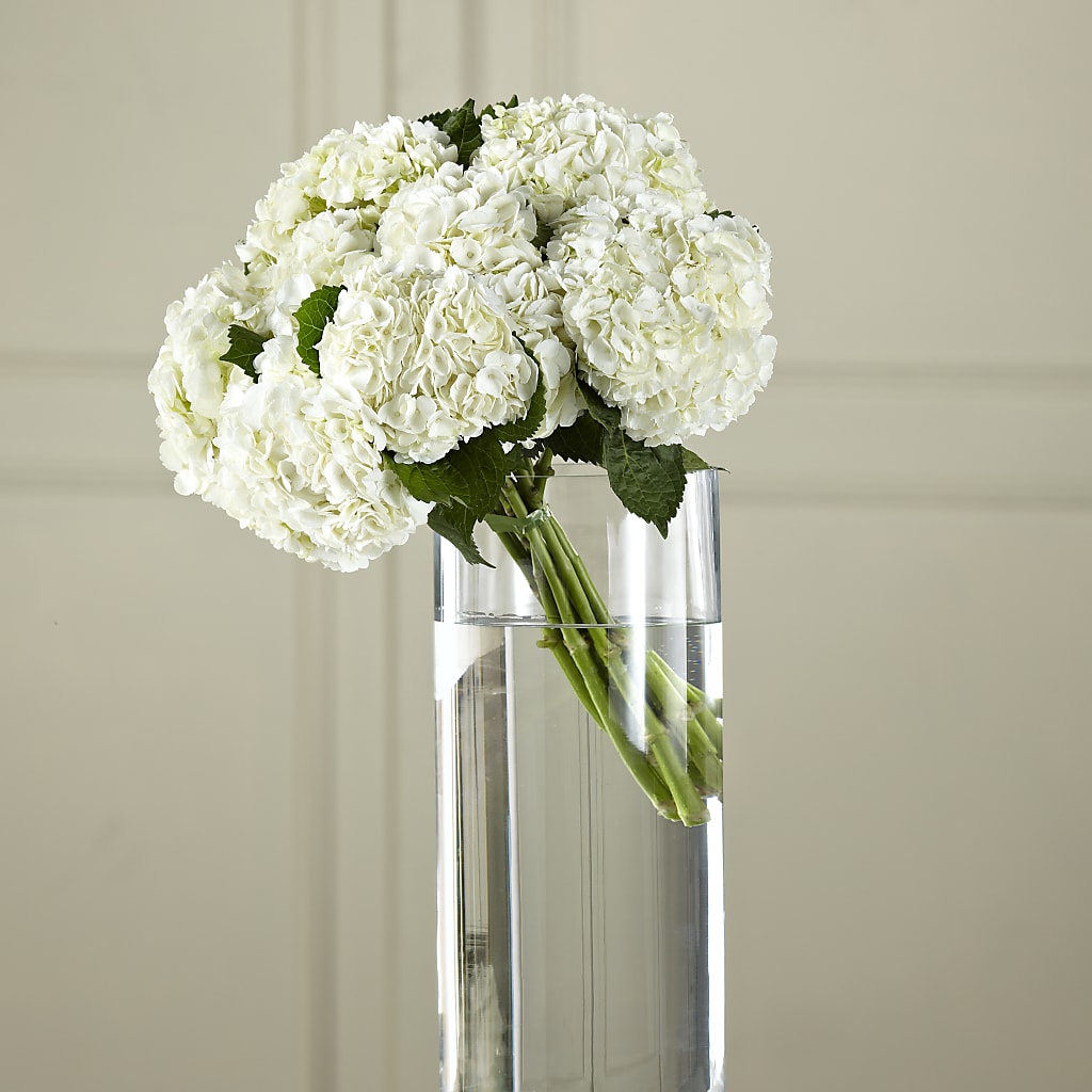 White Hydrangea Hand-Tied Bouquet – HAYLEE FLOWERS & VARIETIES, Freeport NY