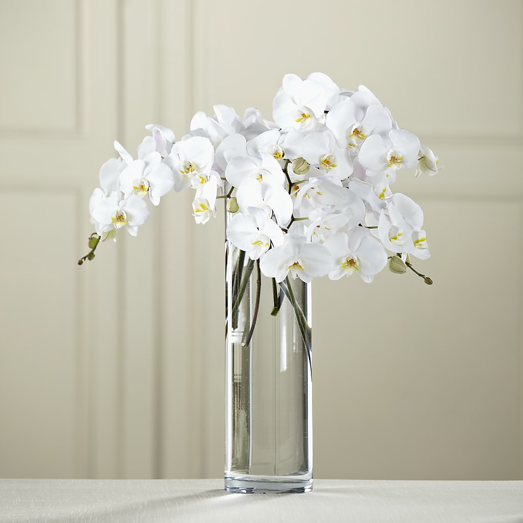 White Phalaenopsis Bouquet – HAYLEE FLOWERS & VARIETIES, Freeport NY