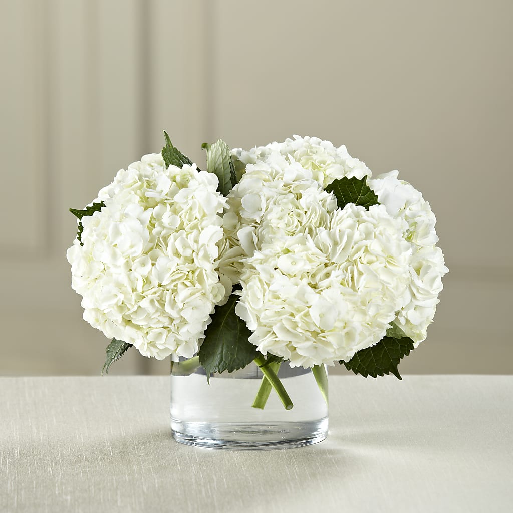 White Hydrangea Bouquet – HAYLEE FLOWERS & VARIETIES, Freeport NY