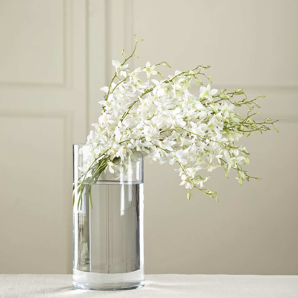 White Dendrobium Bouquet – HAYLEE FLOWERS & VARIETIES, Freeport NY