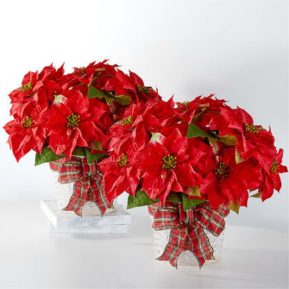 Happiest Holidays Poinsettia Bundle – HAYLEE FLOWERS & VARIETIES, Freeport NY