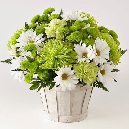 Lucky Charm Basket (Standard) – HAYLEE FLOWERS & VARIETIES, Freeport NY