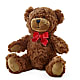 Adorable Plush Bear – HAYLEE FLOWERS & VARIETIES, Freeport NY