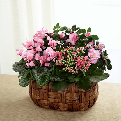 Pink Assortment – HAYLEE FLOWERS & VARIETIES, Freeport NY