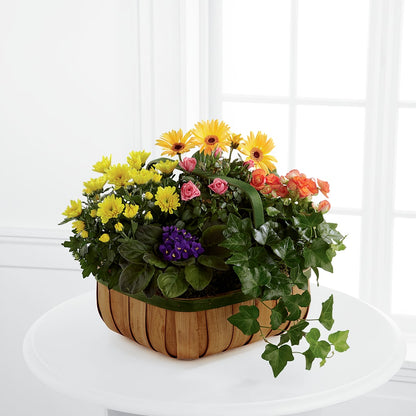 Gentle Blossoms Basket – HAYLEE FLOWERS & VARIETIES, Freeport NY