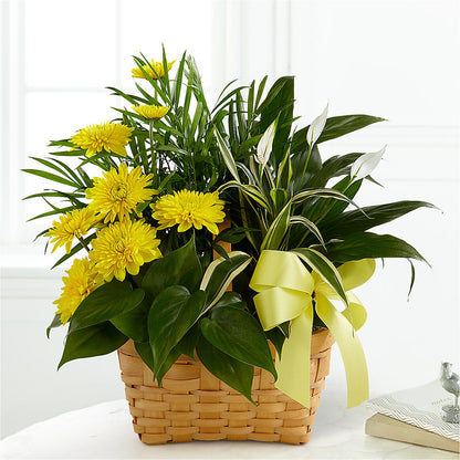 Loving Light Dishgarden – HAYLEE FLOWERS & VARIETIES, Freeport NY