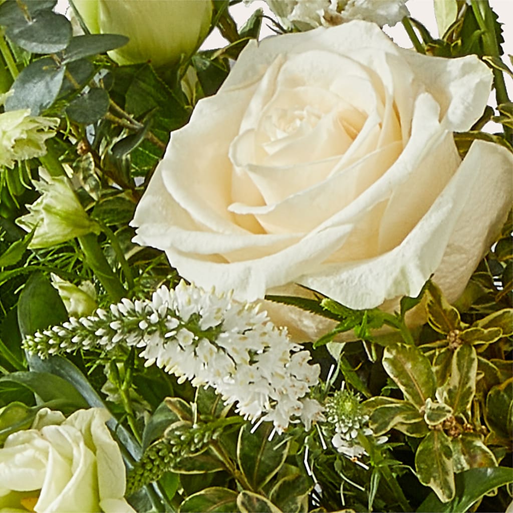 Cashmere Bouquet – HAYLEE FLOWERS & VARIETIES, Freeport NY