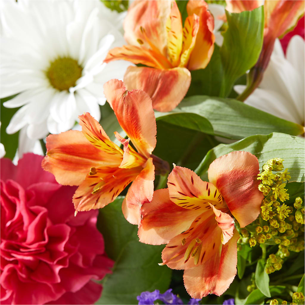 Oopsie Daisy Box Bouquet – HAYLEE FLOWERS & VARIETIES, Freeport NY
