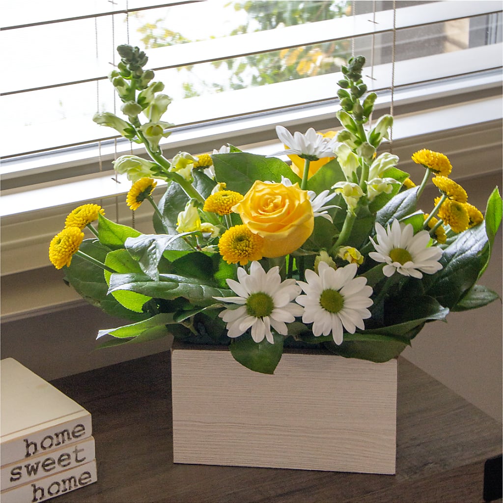 Sun Salutation Box Bouquet – HAYLEE FLOWERS & VARIETIES, Freeport NY