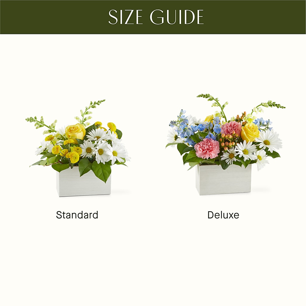 Sun Salutation Box Bouquet – HAYLEE FLOWERS & VARIETIES, Freeport NY