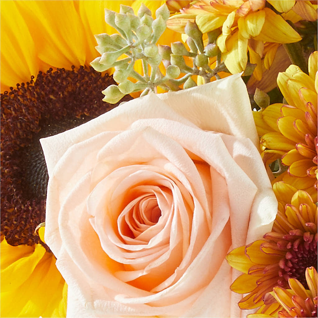 Pumpkin to Talk About Bouquet – HAYLEE FLOWERS & VARIETIES, Freeport NY