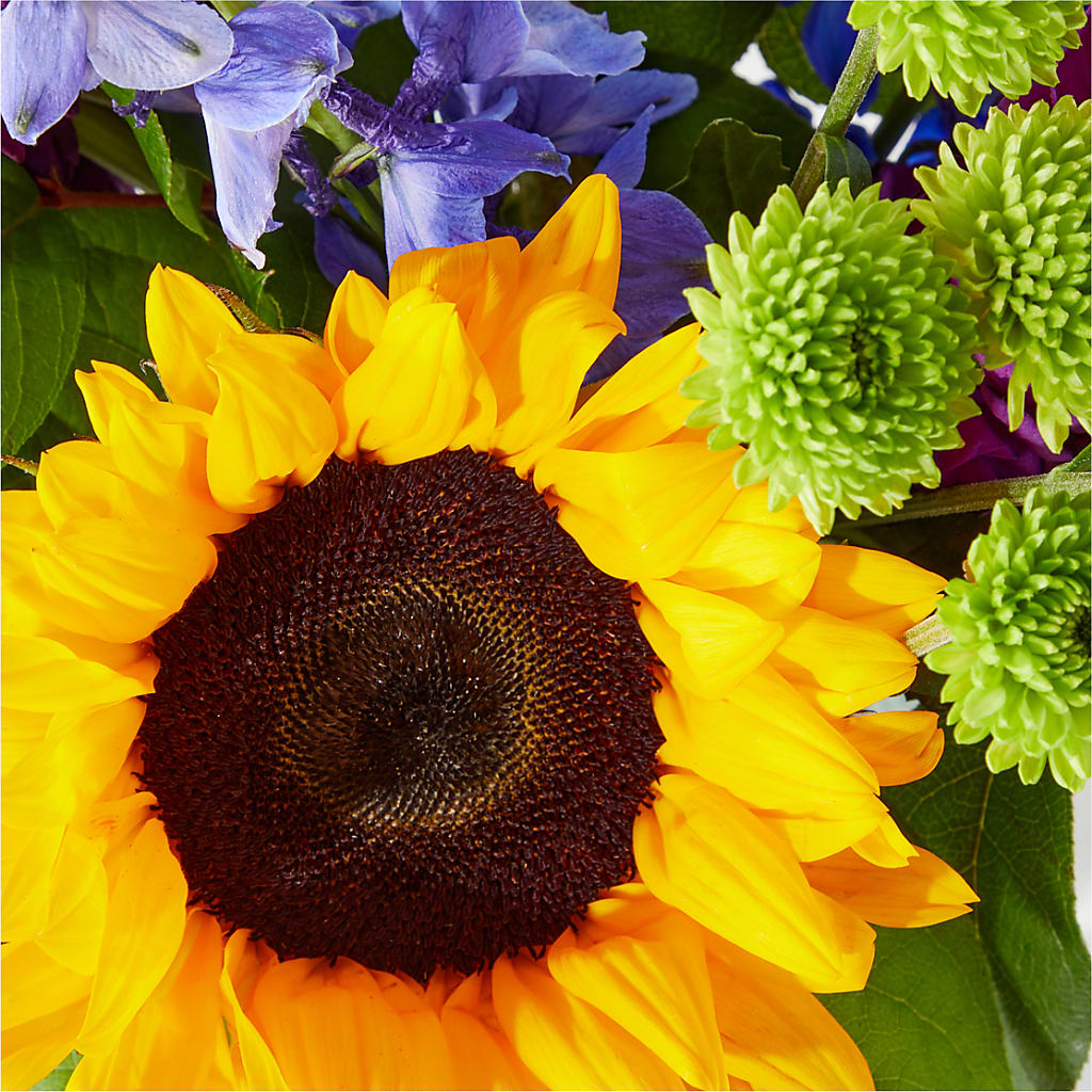 Catching Rays Bouquet – HAYLEE FLOWERS & VARIETIES, Freeport NY