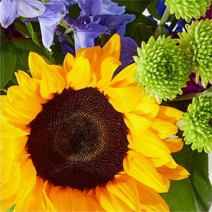 Catching Rays Bouquet – HAYLEE FLOWERS & VARIETIES, Freeport NY
