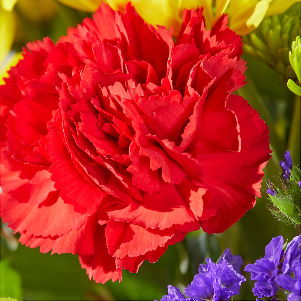 Brighter Days Bouquet – HAYLEE FLOWERS & VARIETIES, Freeport NY