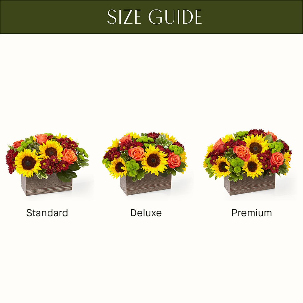 Happy Harvest Garden – HAYLEE FLOWERS & VARIETIES, Freeport NY