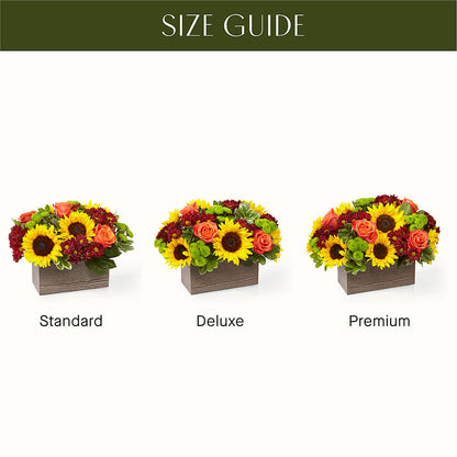 Happy Harvest Garden – HAYLEE FLOWERS & VARIETIES, Freeport NY