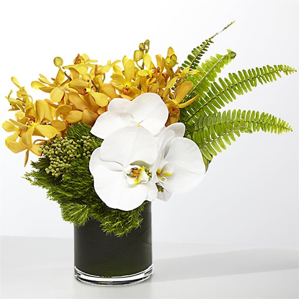The Tropics – HAYLEE FLOWERS & VARIETIES, Freeport NY