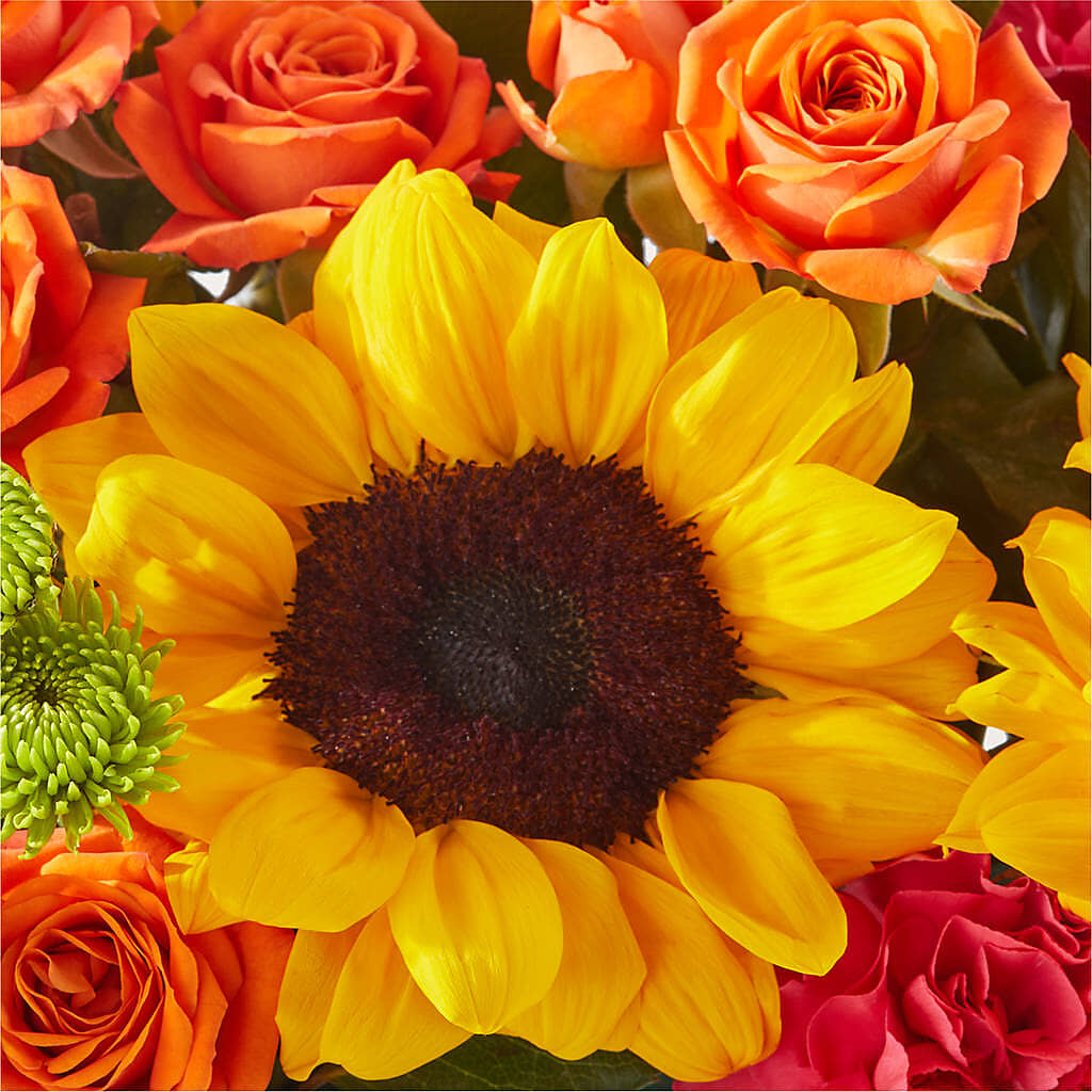 Sun-drenched Blooms Box Bouquet – HAYLEE FLOWERS & VARIETIES, Freeport NY