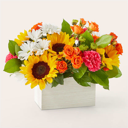 Sun-drenched Blooms Box Bouquet – HAYLEE FLOWERS & VARIETIES, Freeport NY