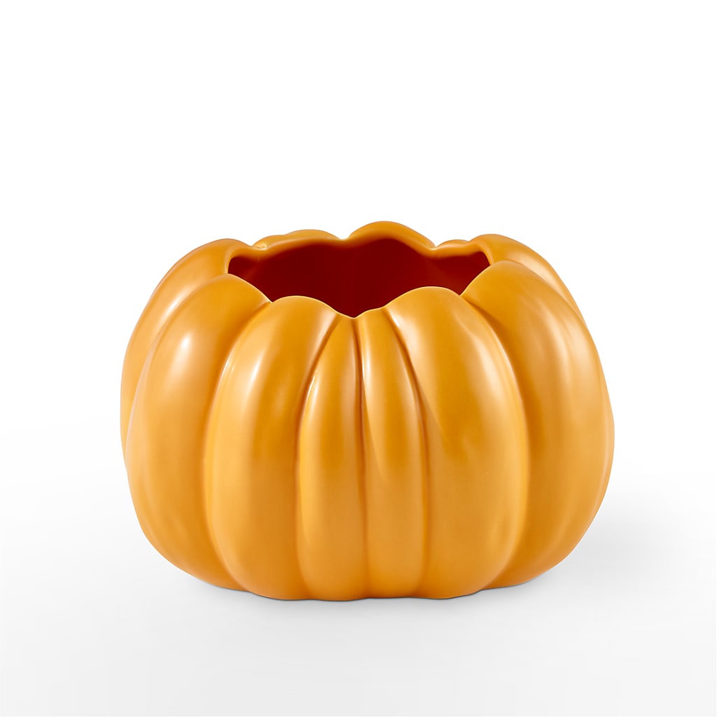 Pick of the Patch Pumpkin Bouquet – HAYLEE FLOWERS & VARIETIES, Freeport NY