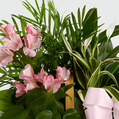 Living Spirit Dishgarden – HAYLEE FLOWERS & VARIETIES, Freeport NY