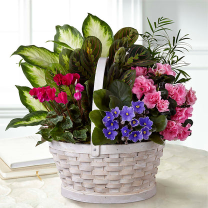Peaceful Garden Planter – HAYLEE FLOWERS & VARIETIES, Freeport NY