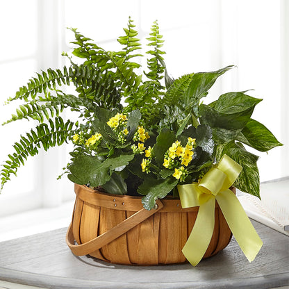 Always Dear Dishgarden – HAYLEE FLOWERS & VARIETIES, Freeport NY