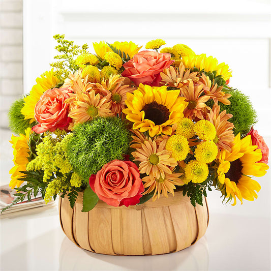 Harvest Sunflower Basket – HAYLEE FLOWERS & VARIETIES, Freeport NY