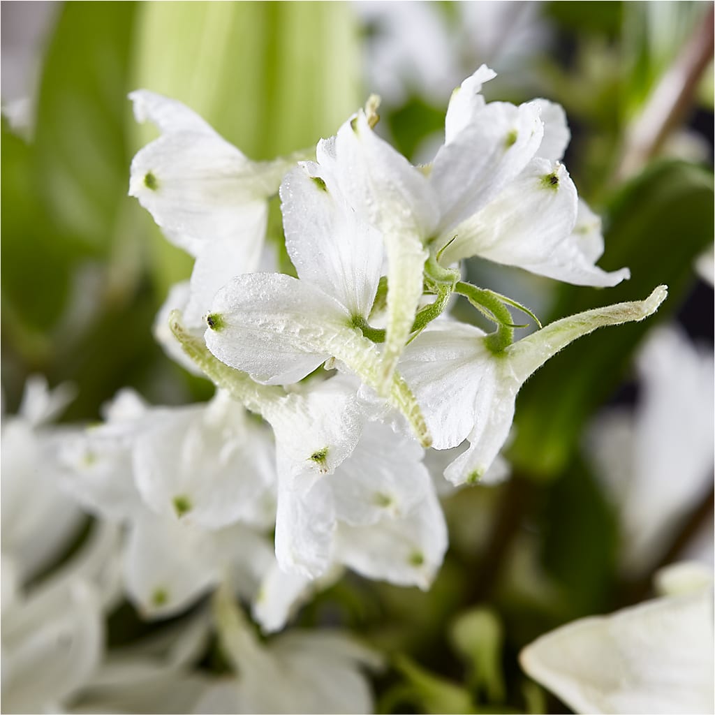 Classic Ivory – A Florist Original – HAYLEE FLOWERS & VARIETIES, Freeport NY