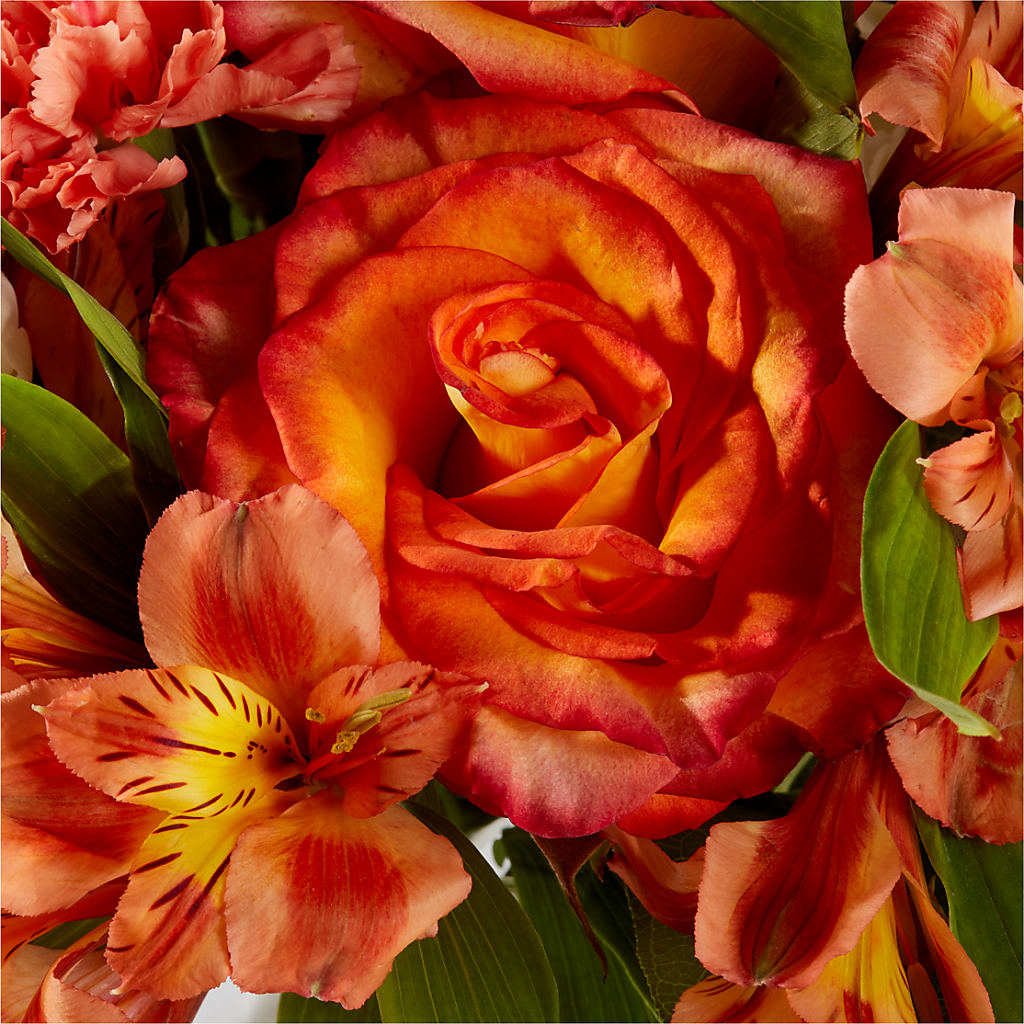 Apricot Glow Bouquet – HAYLEE FLOWERS & VARIETIES, Freeport NY