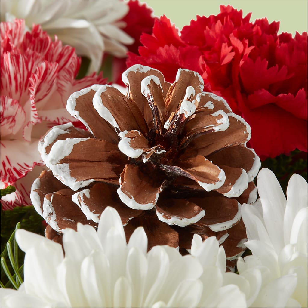 Candy Cane Lane Bouquet – HAYLEE FLOWERS & VARIETIES, Freeport NY