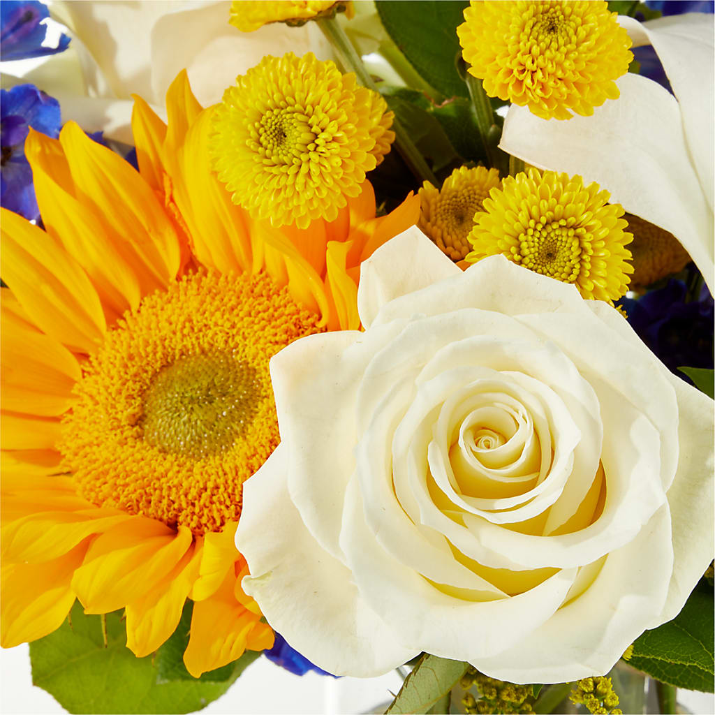 Stargazing Bouquet – HAYLEE FLOWERS & VARIETIES, Freeport NY