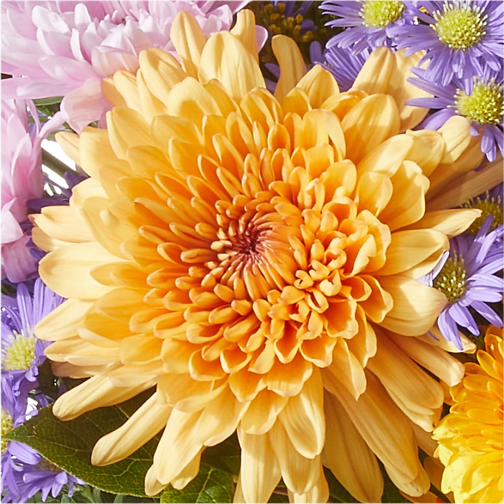 Countryside Bouquet – HAYLEE FLOWERS & VARIETIES, Freeport NY